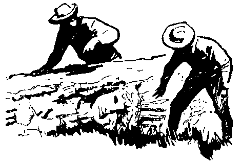 Следствие сквозь века - pic_33.png