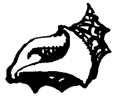 Следствие сквозь века - pic_37.png