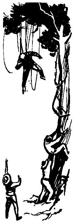 Следствие сквозь века - pic_52.png