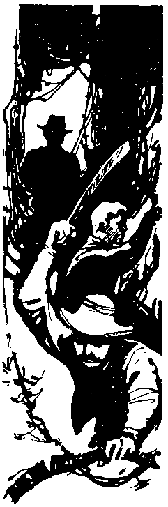 Следствие сквозь века - pic_63.png