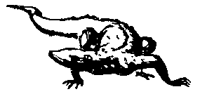 Следствие сквозь века - pic_68.png