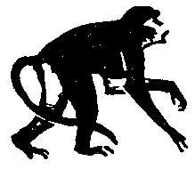 Следствие сквозь века - pic_69.png