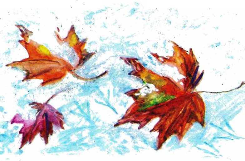 Солнце на дорожке - _48.jpg