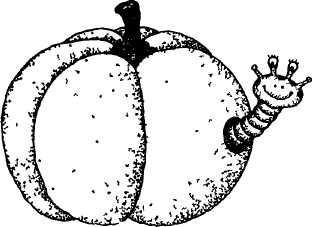 Этюды о питании - i_007.jpg