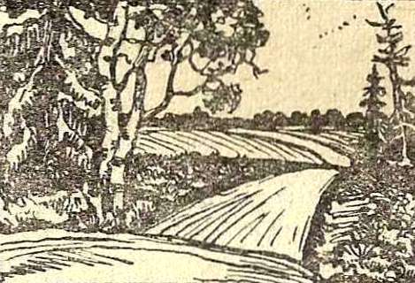 Лирика 30-х годов - i_013.jpg