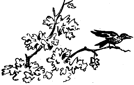 Катя и Крокодил (илл. Калаушина Б.М.) - pic_77.png