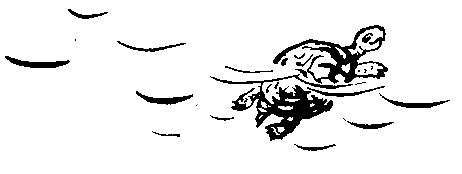 Катя и Крокодил (илл. Калаушина Б.М.) - pic_80.png