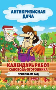 Календарь работ садовода-огородника. Прививаем сад - Кашин Сергей Павлович