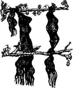 Современный болгарский детектив. Выпуск 3 - img_5.jpeg