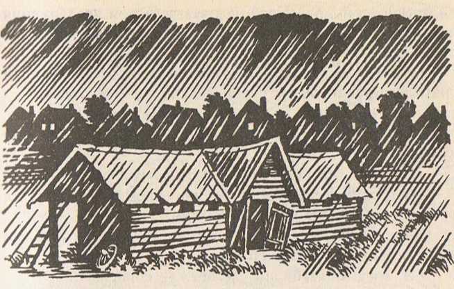 Исполнение предсказаний - _2.jpg