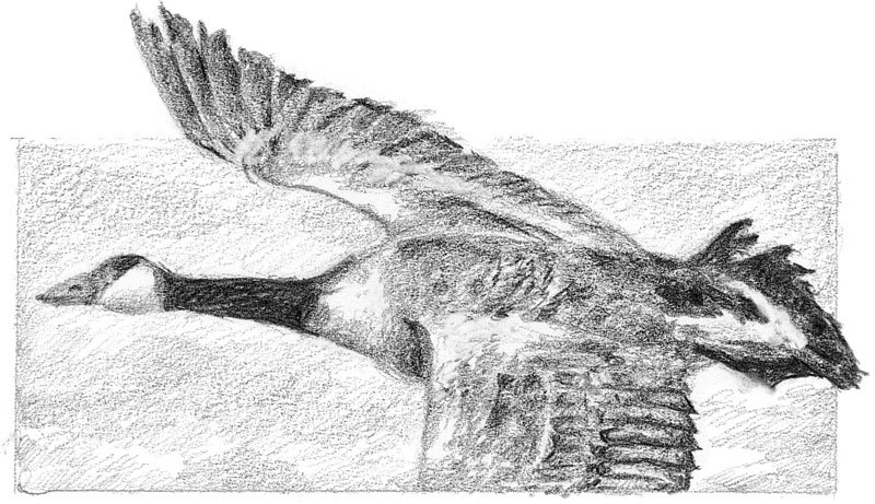 Золотая пряжа - _41.jpg