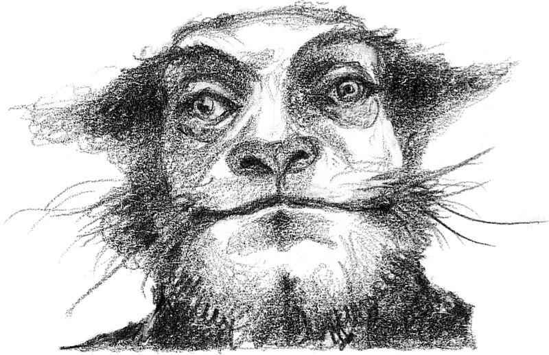 Золотая пряжа - _44.jpg