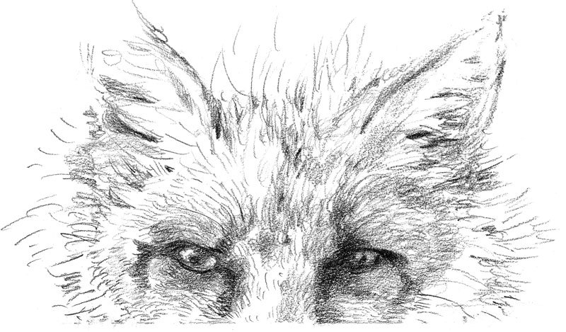 Золотая пряжа - _73.jpg