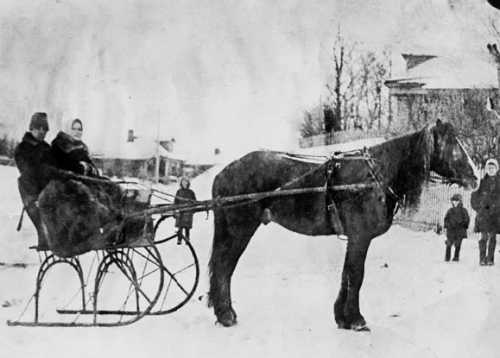 Девять веков юга Москвы. Между Филями и Братеевом - i_166.jpg