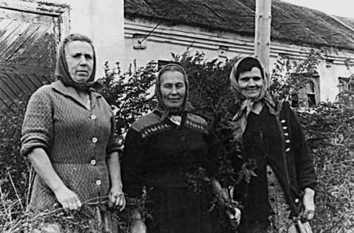 Девять веков юга Москвы. Между Филями и Братеевом - i_262.jpg