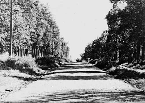 Девять веков юга Москвы. Между Филями и Братеевом - i_296.jpg