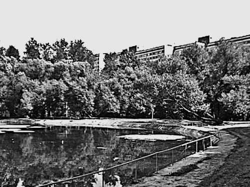 Девять веков юга Москвы. Между Филями и Братеевом - i_298.jpg