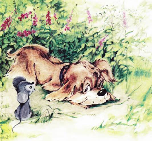 Лучшие мультики малышам - _35.jpg