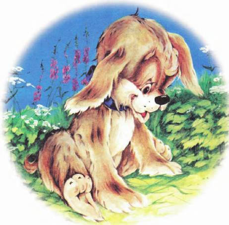 Лучшие мультики малышам - _36.jpg