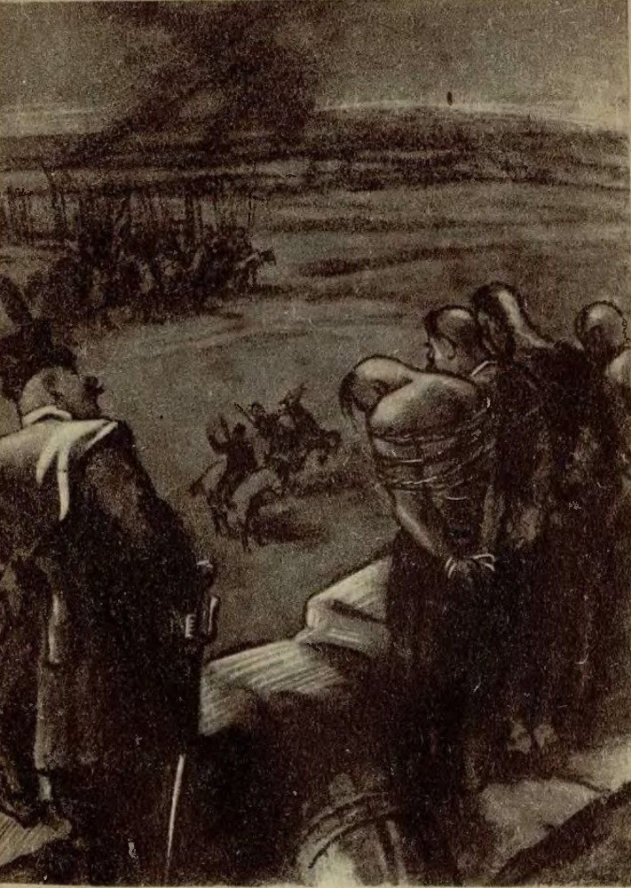 Тарас Бульба (иллюстрации Кукрыниксов) - _5.jpg