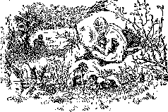 Недостающее звено(изд.1945) - pic_6.png