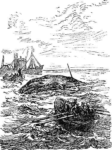 Удивительное путешествие(изд.1949) - i_005.png