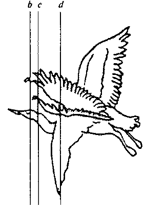 История выдающихся открытий и изобретений  - pic_2.png