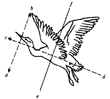 История выдающихся открытий и изобретений  - pic_3.png