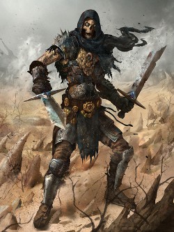 Серия книг Skidbladnir Online