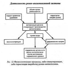 Ваше тело просит воды - pic_12.jpg