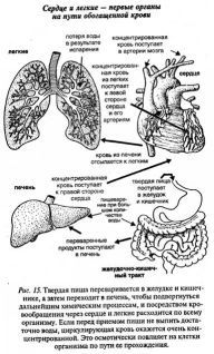 Ваше тело просит воды - pic_15.jpg
