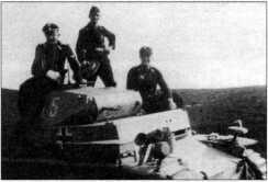 Маленькие &laquo;Тигры&raquo; - i_015.jpg