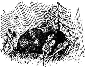 На маленьком кусочке Вселенной - image0190.jpg