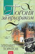 Серия книг Агенты безопасности