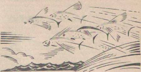 Приключения Гука - Any2FbImgLoader12