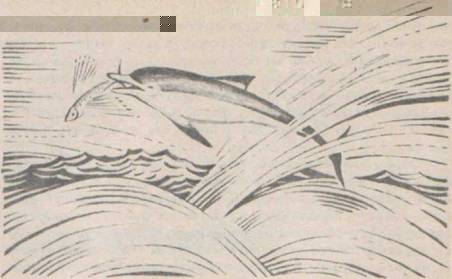 Приключения Гука - Any2FbImgLoader13