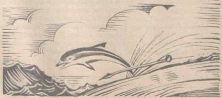 Приключения Гука - Any2FbImgLoader17