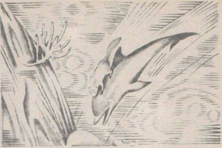 Приключения Гука - Any2FbImgLoader30