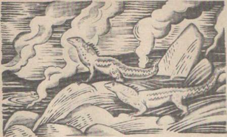 Приключения Гука - Any2FbImgLoader32