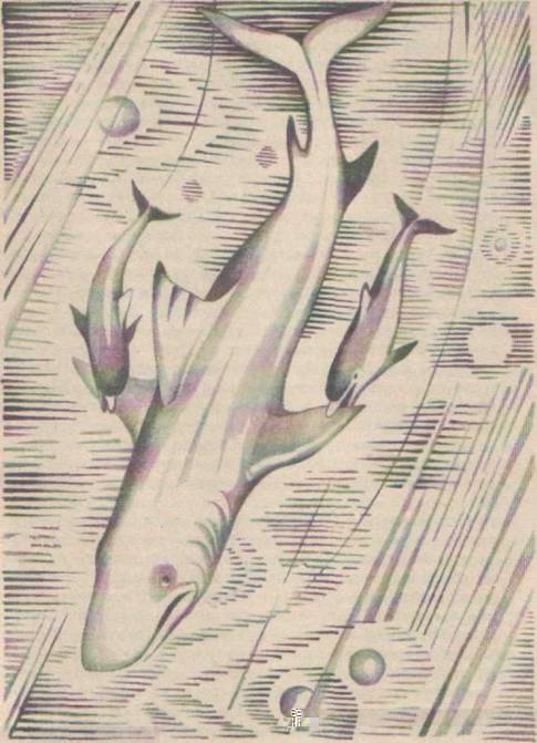 Приключения Гука - Any2FbImgLoader34