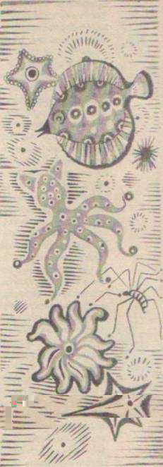 Приключения Гука - Any2FbImgLoader37