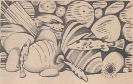 Приключения Гука - Any2FbImgLoader5