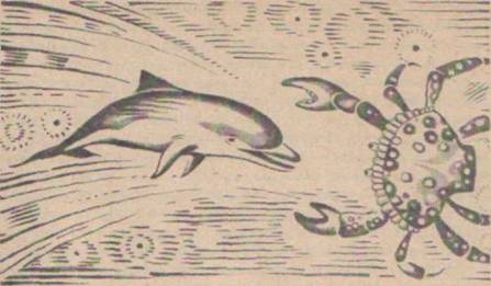 Приключения Гука - Any2FbImgLoader6