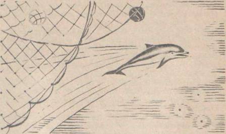 Приключения Гука - Any2FbImgLoader8