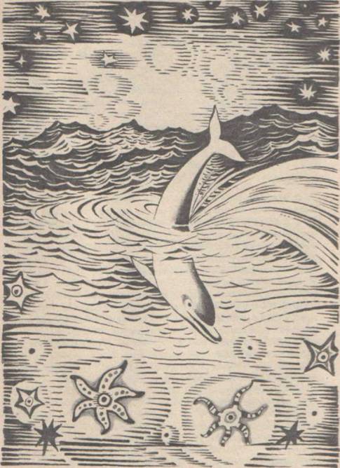 Приключения Гука - Any2FbImgLoader38