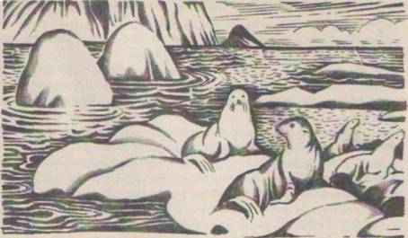 Приключения Гука - Any2FbImgLoader39