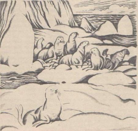 Приключения Гука - Any2FbImgLoader40