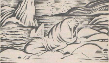 Приключения Гука - Any2FbImgLoader41