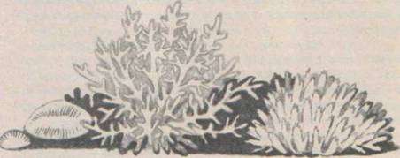 Приключения Гука - Any2FbImgLoader45