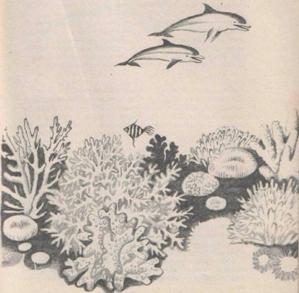 Приключения Гука - Any2FbImgLoader46